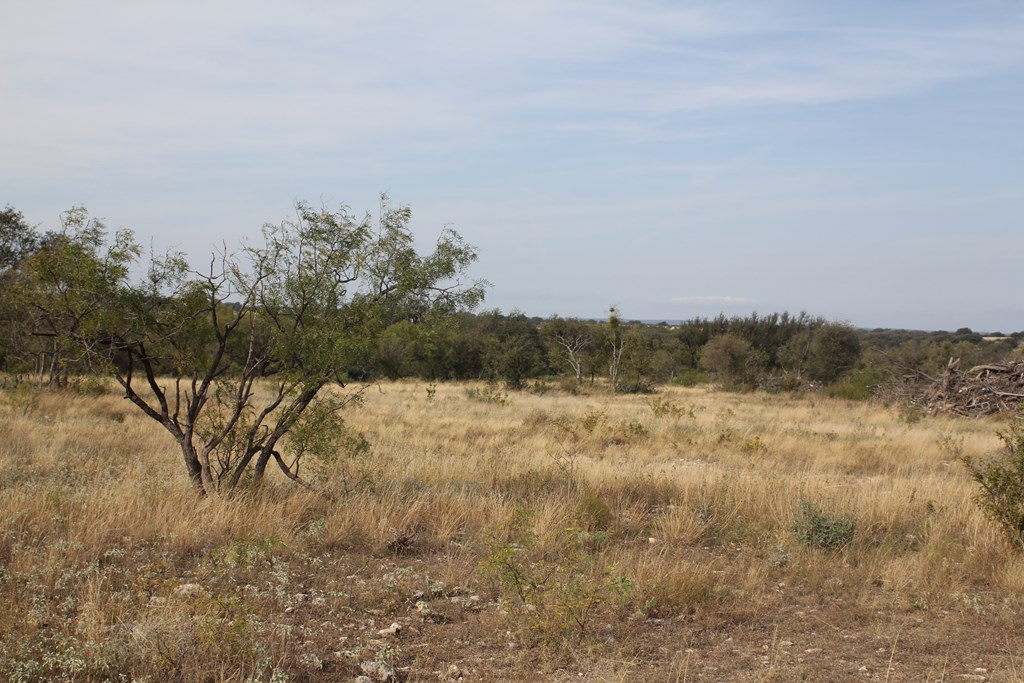 12565 County Road 2246, Eden, Texas image 15