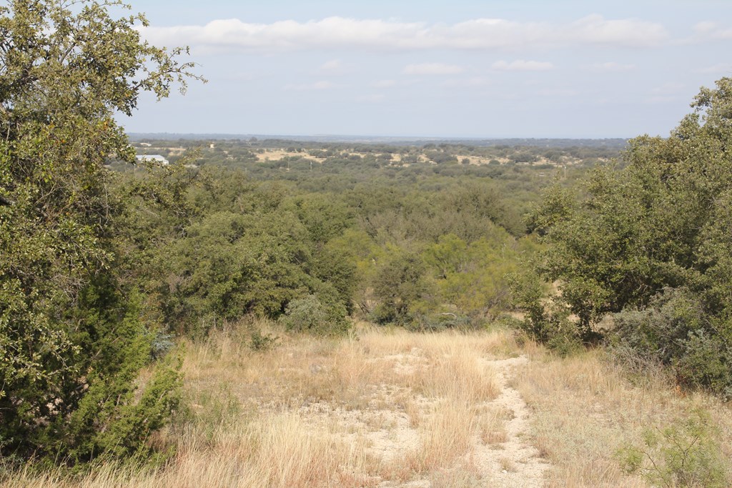 12565 County Road 2246, Eden, Texas image 25