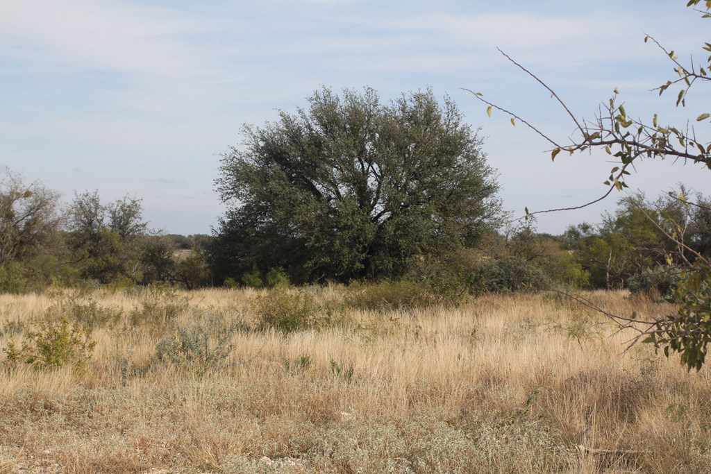 12565 County Road 2246, Eden, Texas image 16