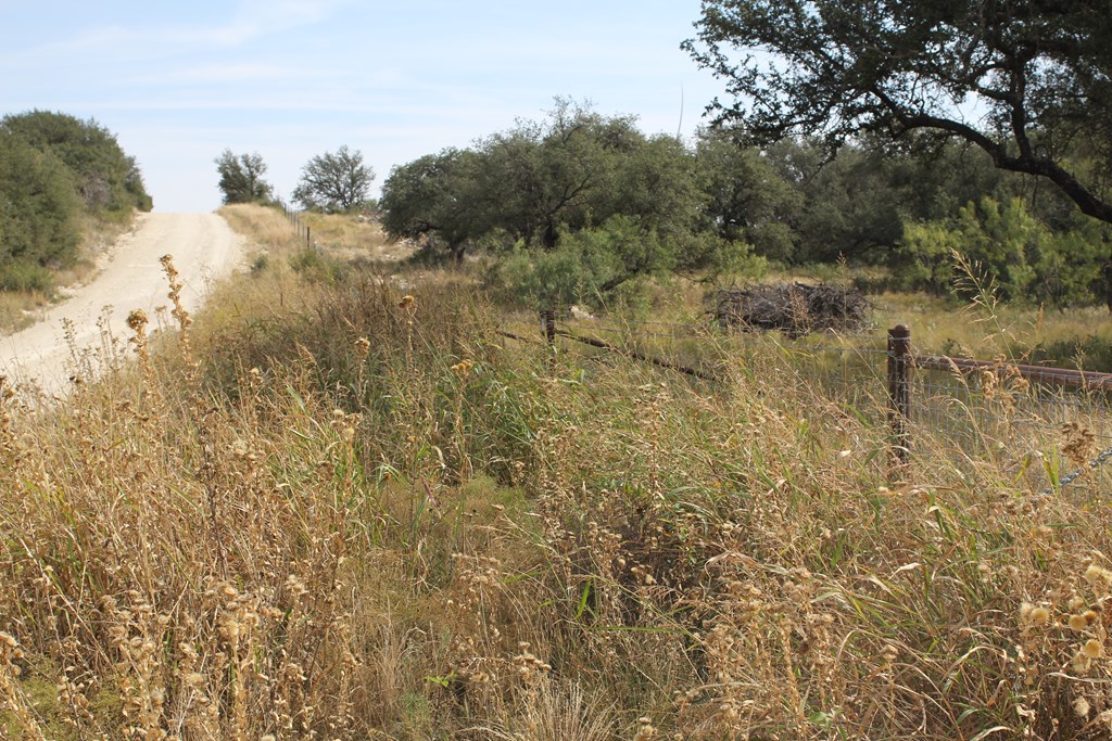 12565 County Road 2246, Eden, Texas image 36