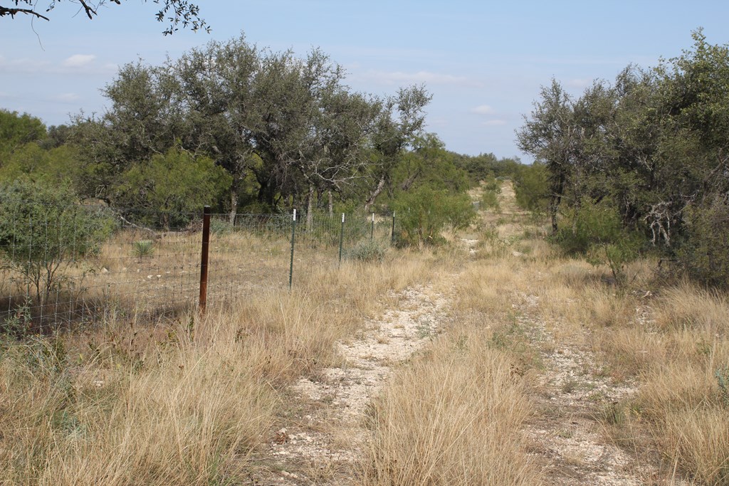 12565 County Road 2246, Eden, Texas image 13