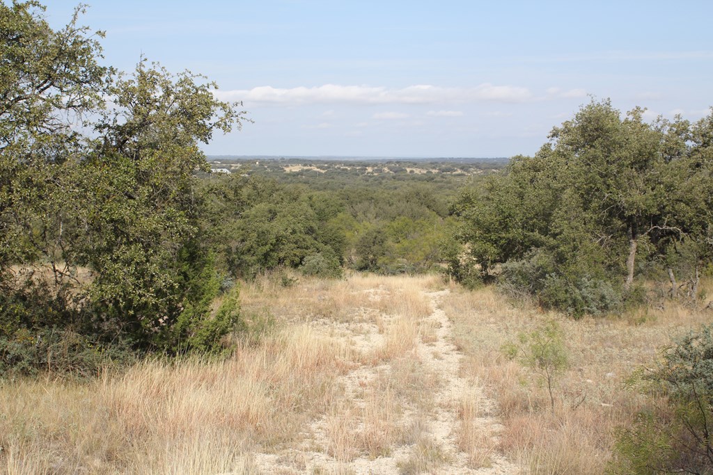 12565 County Road 2246, Eden, Texas image 24