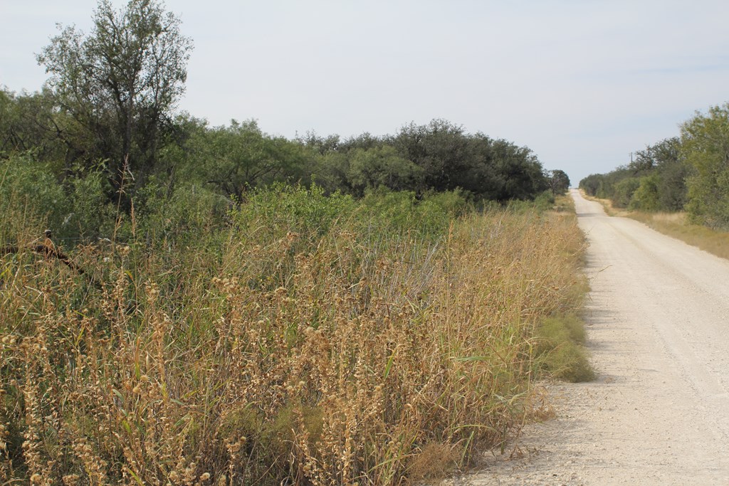 12565 County Road 2246, Eden, Texas image 35