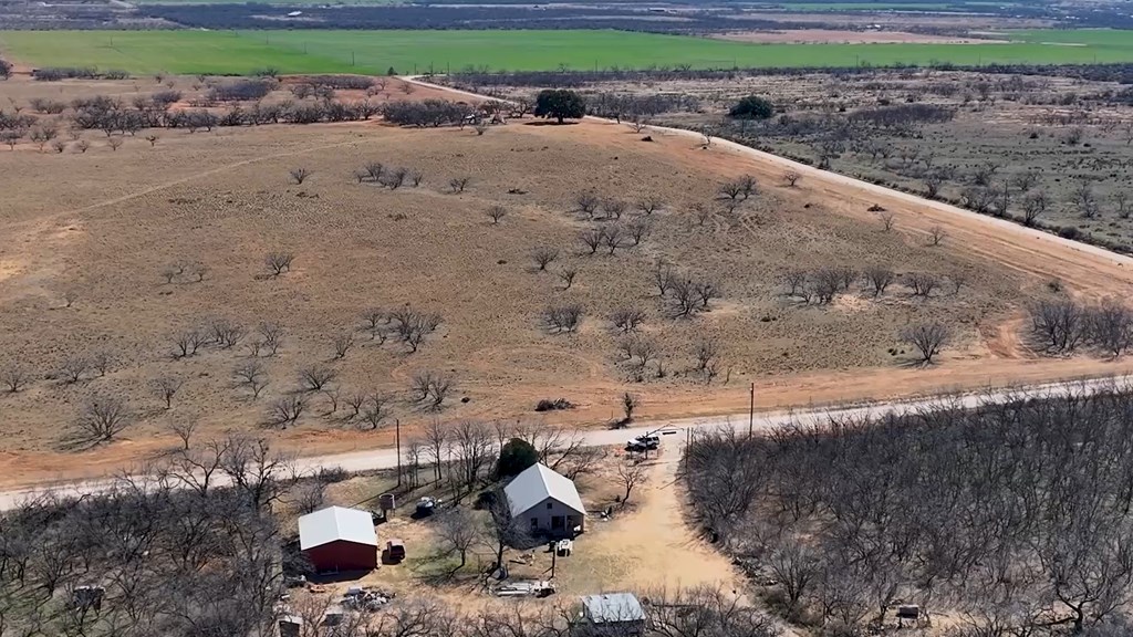779 Rogers Loop, Bronte, Texas image 10