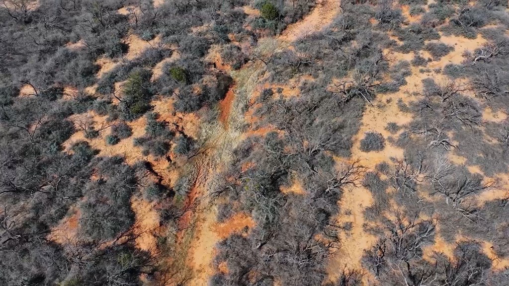 779 Rogers Loop, Bronte, Texas image 3