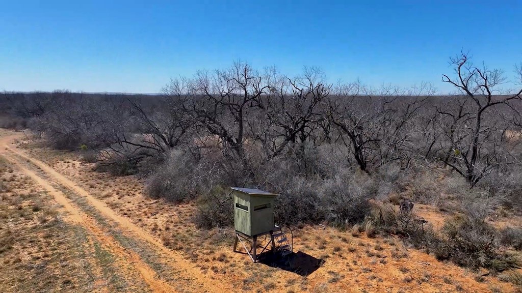 779 Rogers Loop, Bronte, Texas image 5