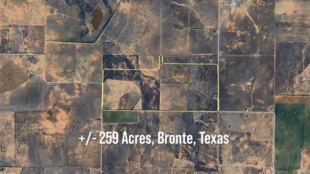 779 Rogers Loop, Bronte, Texas image 1