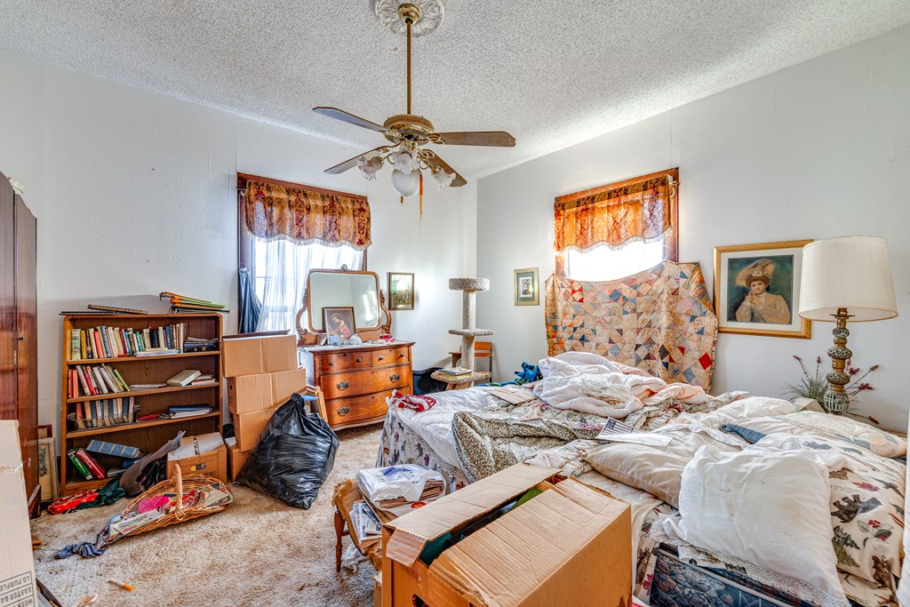 219 Bird St, San Angelo, Texas image 21