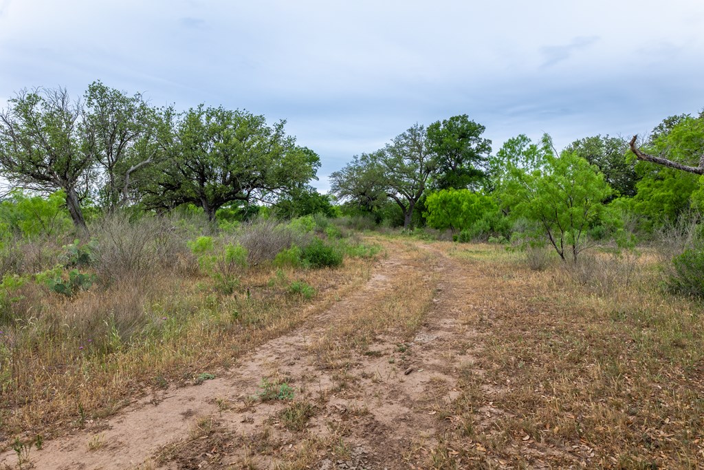 825 E Fm 765, Lohn, Texas image 7