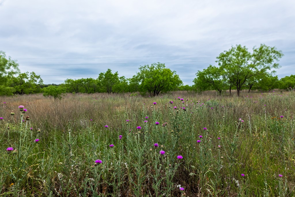 825 E Fm 765, Lohn, Texas image 38