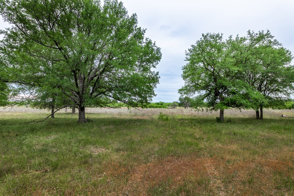 825 E Fm 765, Lohn, Texas image 33