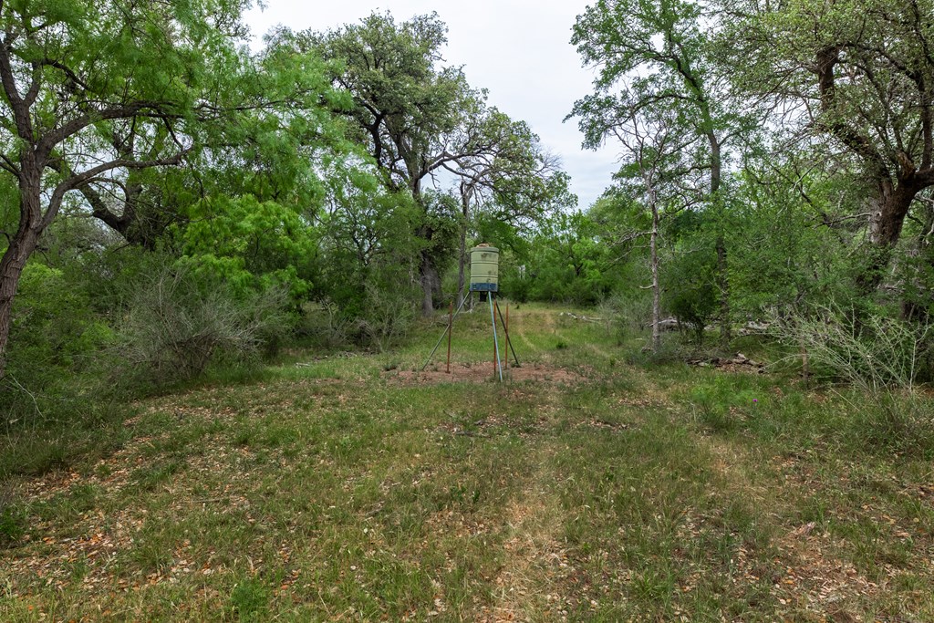 825 E Fm 765, Lohn, Texas image 32