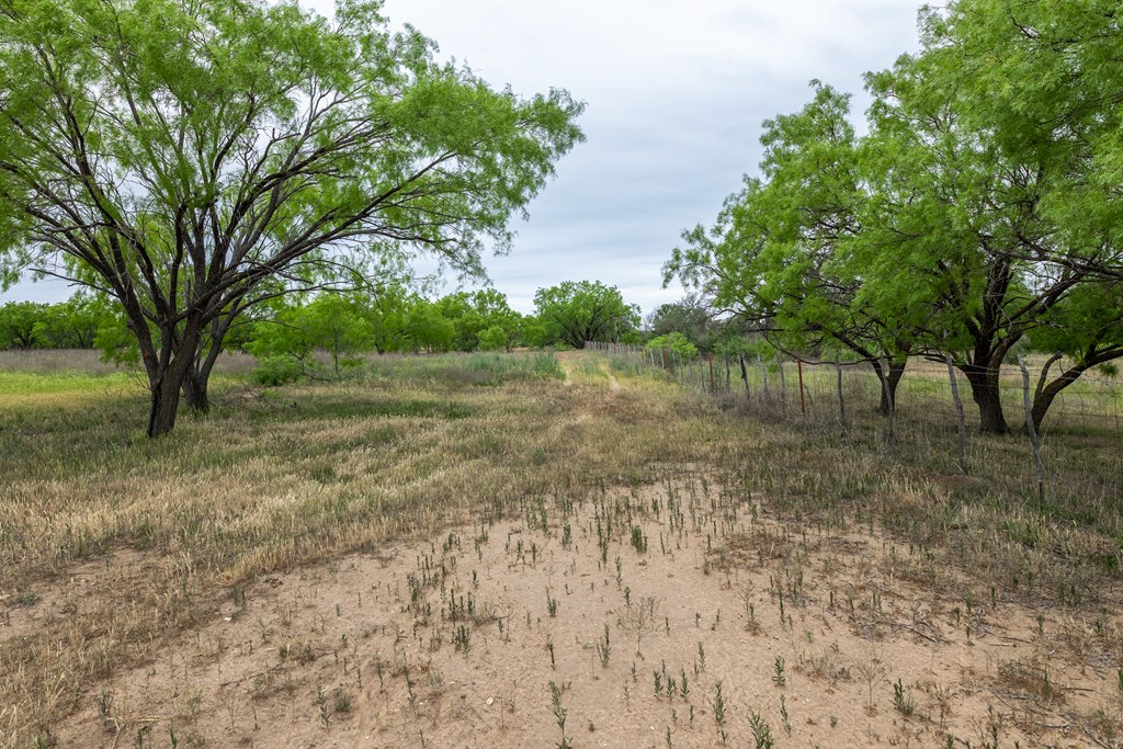 825 E Fm 765, Lohn, Texas image 3