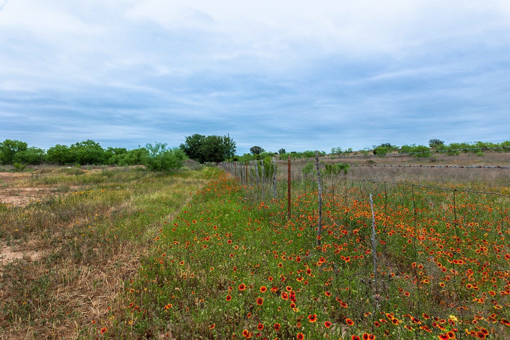 825 E Fm 765, Lohn, Texas image 44