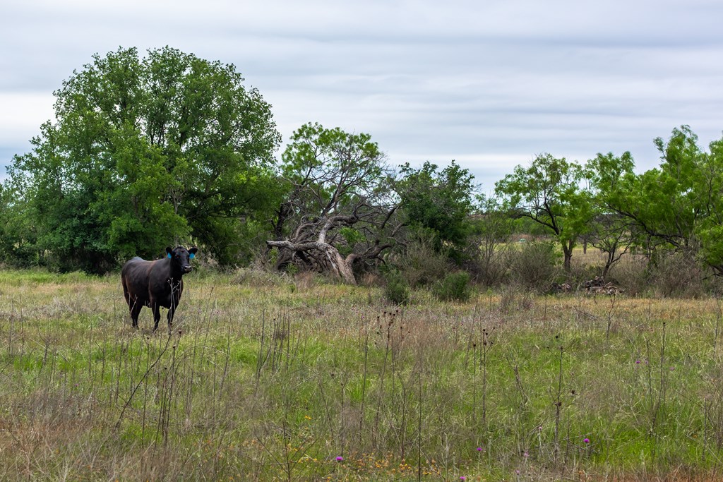 825 E Fm 765, Lohn, Texas image 20