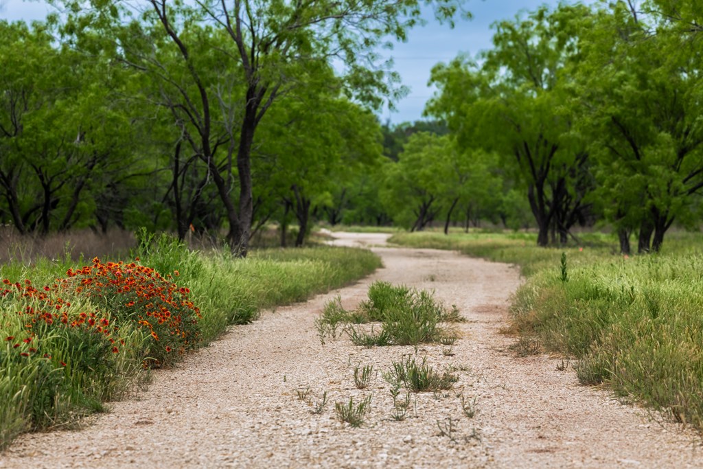 825 E Fm 765, Lohn, Texas image 37