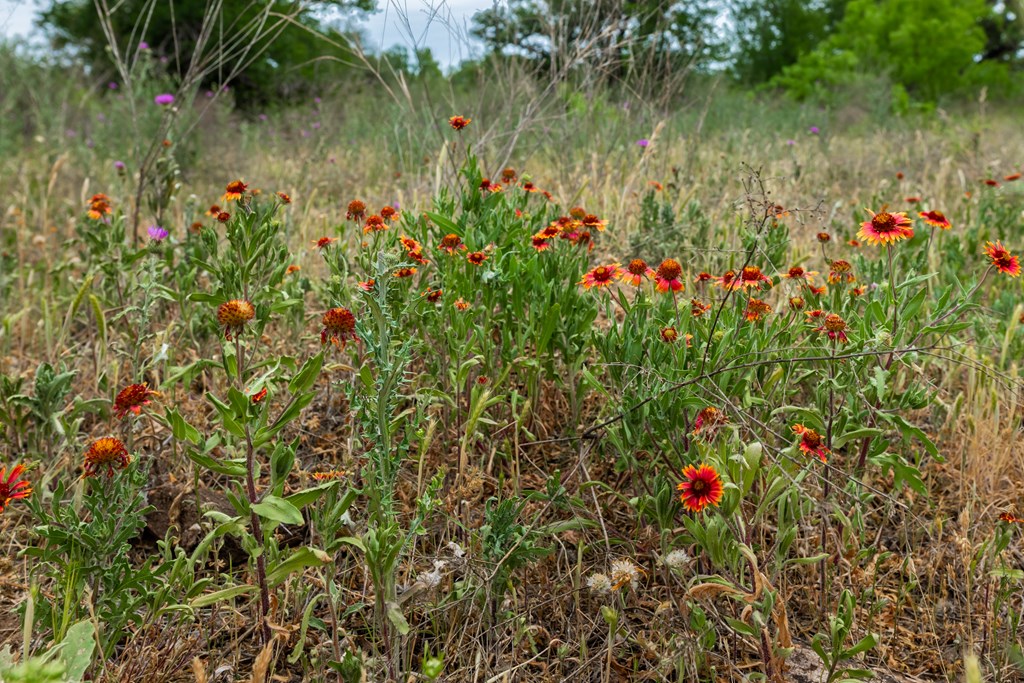 825 E Fm 765, Lohn, Texas image 12