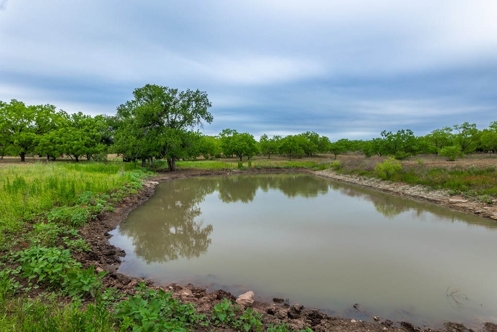 825 E Fm 765, Lohn, Texas image 11