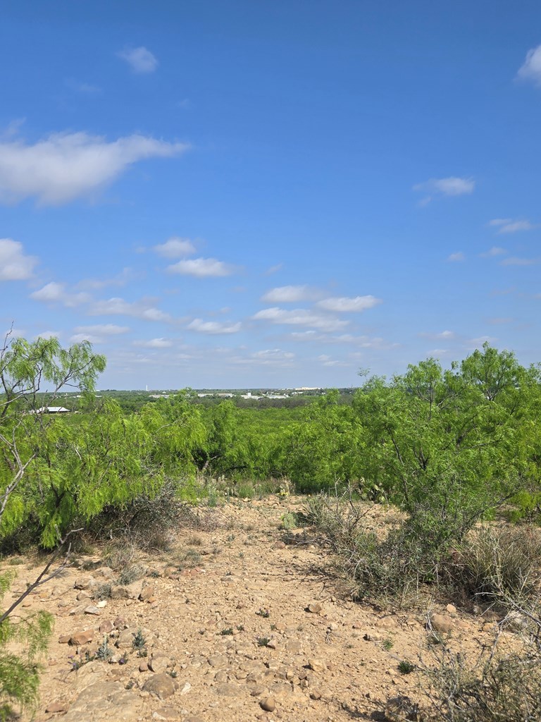 500 S Woodward St #AC :170.32, Ballinger, Texas image 9