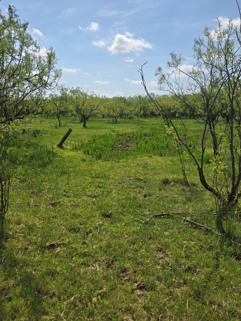 500 S Woodward St #AC :170.32, Ballinger, Texas image 13