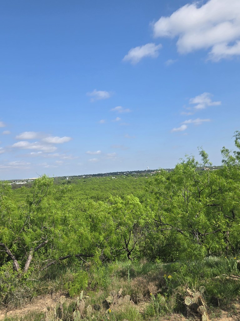 500 S Woodward St #AC :170.32, Ballinger, Texas image 10