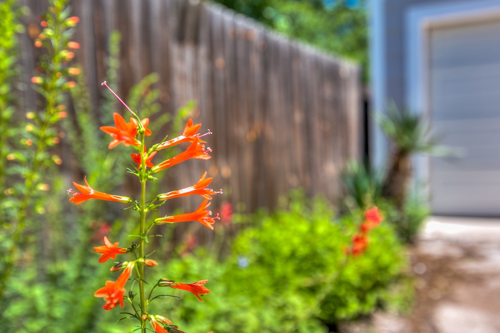 206 N Van Buren St, San Angelo, Texas image 10