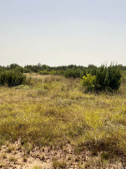 Vacant Land For Sale - Fm 1929<br/> Paint Rock, TX 76866