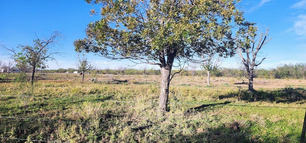 201 ORCHARD LN, MERTZON, TX 76941 - Image 159595db67d3cba1b7f8fa1f05bde859/3727148431