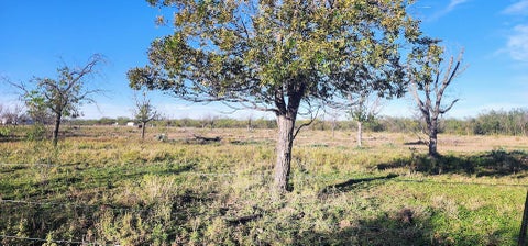 Homes For Sale - 201 Orchard Lane<br/> Mertzon, TX 76941