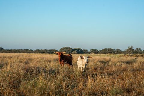 Vacant Land For Sale - 2 County Rd 208<br/> Mcculloch County, Voca, TX 76887