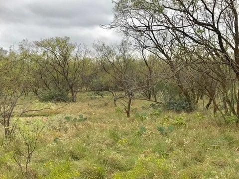 Vacant Land For Sale - S Jameson Road<br/> San Angelo, TX 76901