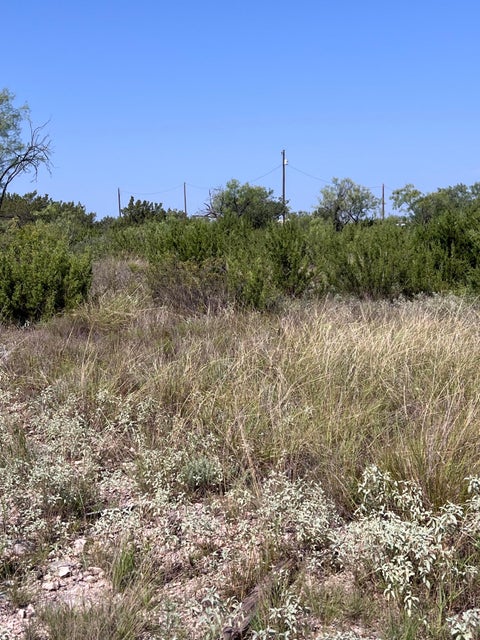 Vacant Land For Sale - 21008 Frank Road<br/> Paint Rock, TX 76866