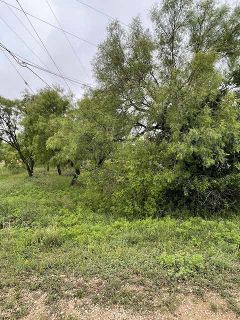 Vacant Land For Sale - 509 Lake View Heroes Drive<br/> San Angelo, TX 76903