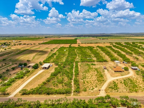 Vacant Land For Sale - 11055 N Grape Creek Road<br/> Tom Green County, San Angelo, TX 76901