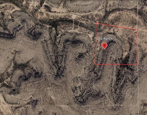 Vacant Land For Sale - Cactus Rose Lane<br/> Crockett County, Ozona, TX 76943