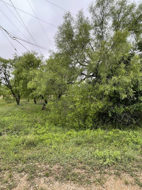 Vacant Land For Sale - 517 Lake View Heroes Drive<br/> San Angelo, TX 76903