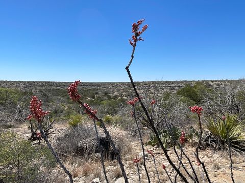 Vacant Land For Sale - TBD 0000 N State Highway 349<br/> Sanderson, TX 79848