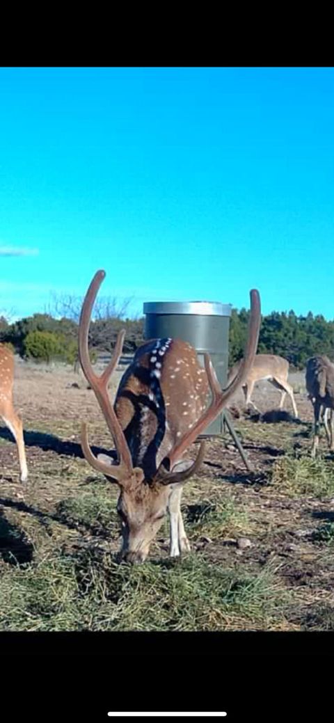 Vacant Land For Sale - 0000 Baker Rd Road<br/> Sonora, TX 76950