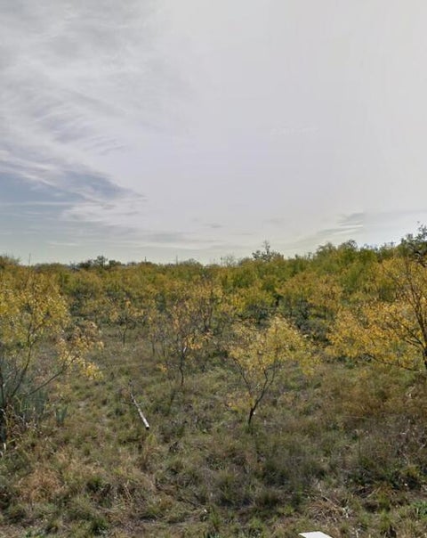 Vacant Land For Sale - 803 3rd Street<br/> Runnels County, Miles, TX 76861