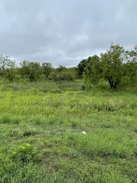 Vacant Land For Sale - 549 Lake View Heroes Drive<br/> San Angelo, TX 76903