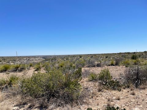 Vacant Land For Sale - TX HWY 349 Tx-349<br/> Sanderson, TX 79848