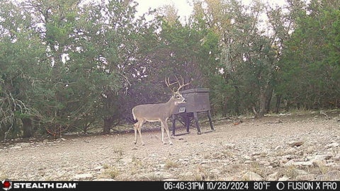Vacant Land For Sale - 1512 Persimmon<br/> Eldorado, TX 76936