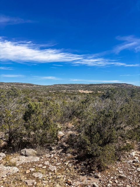 Vacant Land For Sale - TRACT 11 Eastwood Road<br/> Val Verde County, Comstock, TX 78837