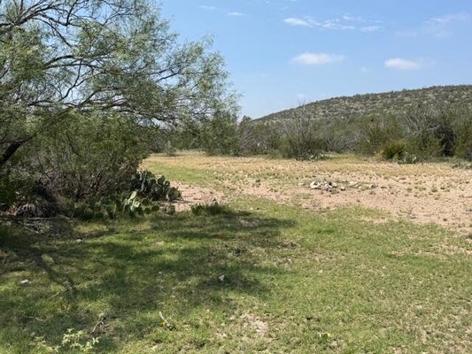 217 EASTWOOD RD, COMSTOCK, TX 78837 - Image f101bd573beea90ae1f91fa18b340ea9/3717599983