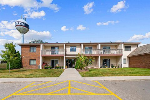 Photo of 730 S Market St #12, Solon, IA 52333 (MLS # 202600853)