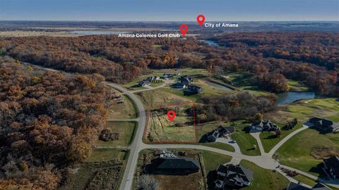 Photo of 2988 127th Drive, Amana, IA 52203 (MLS # 202506939)