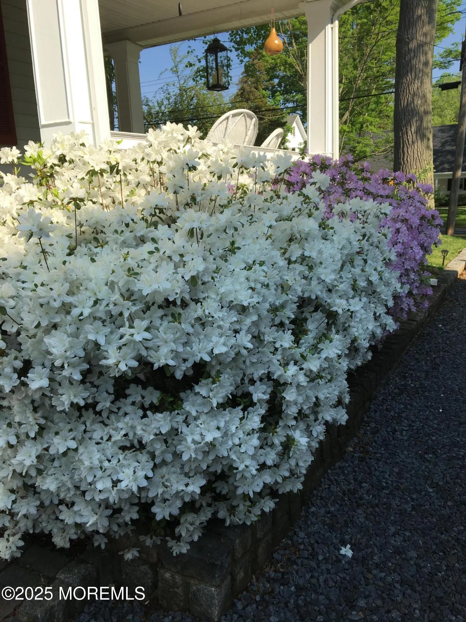 Freehold, New Jersey 07728, United States, 2 Bedrooms Bedrooms, ,1 BathroomBathrooms,Residential,Active,221501