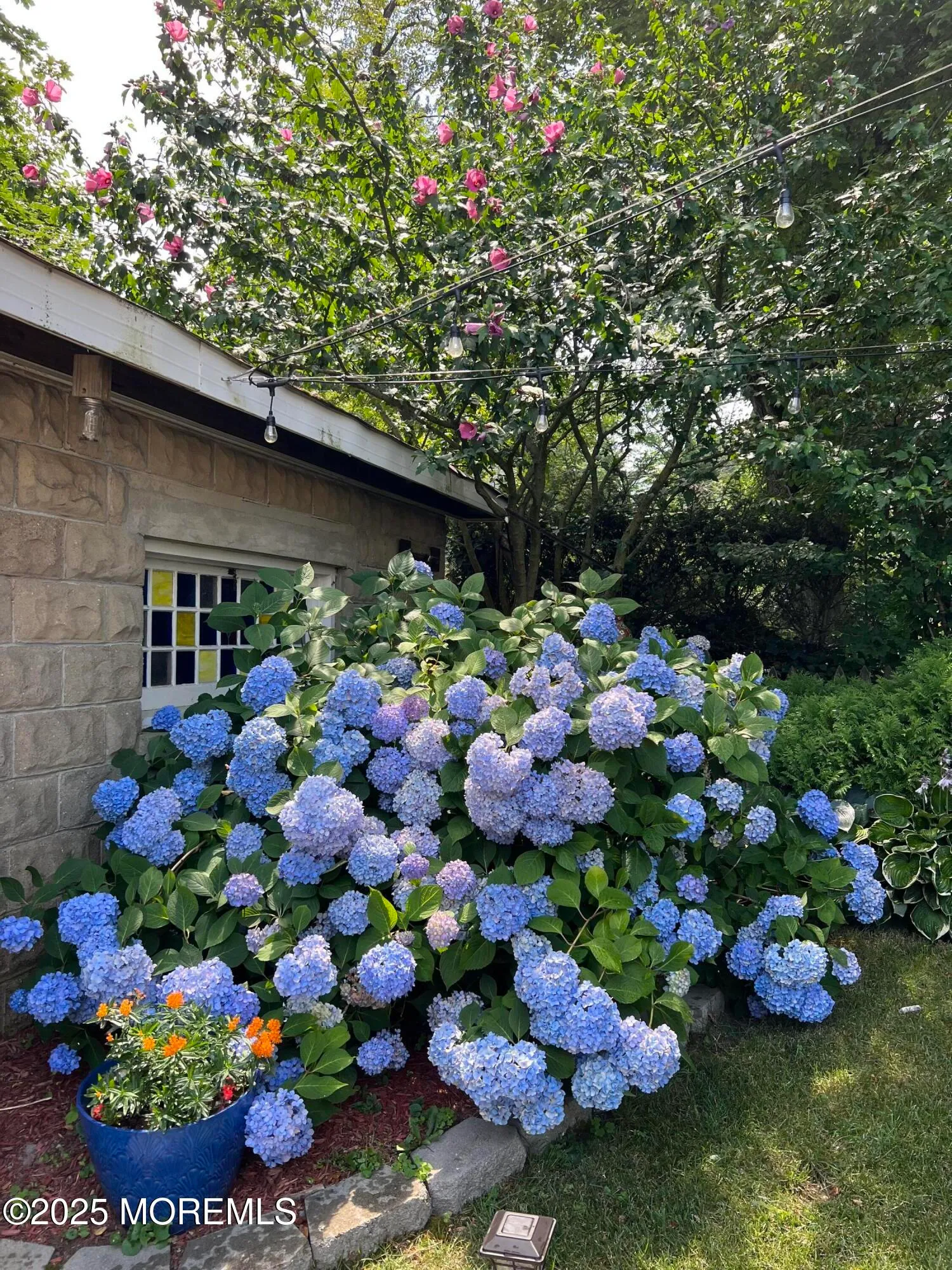 Freehold, New Jersey 07728, United States, 2 Bedrooms Bedrooms, ,1 BathroomBathrooms,Residential,Active,221501