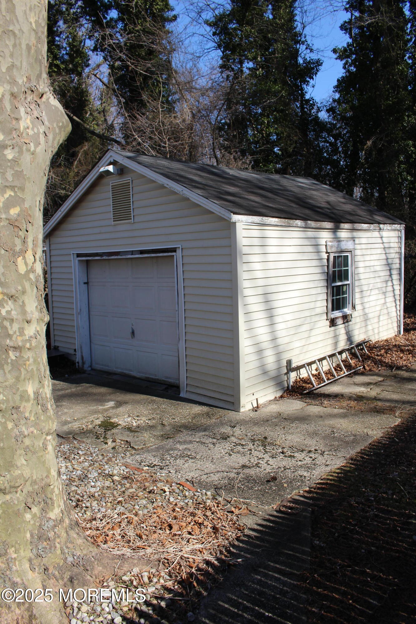 250 Forest Avenue, Middletown, New Jersey image 13