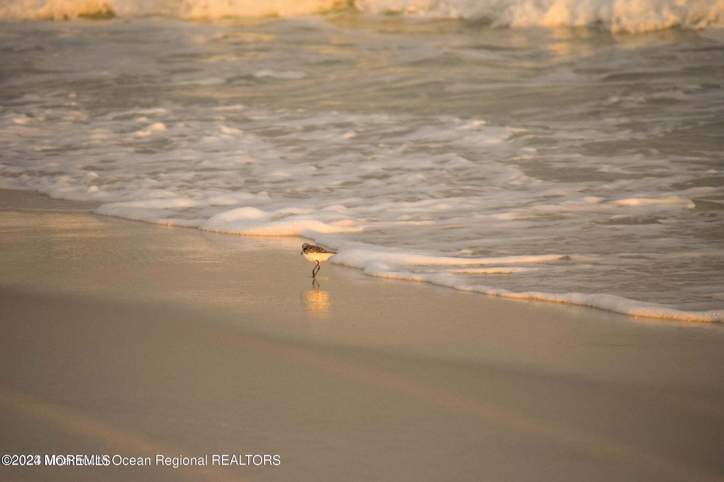 1912 Boulevard, Seaside Park, New Jersey image 3